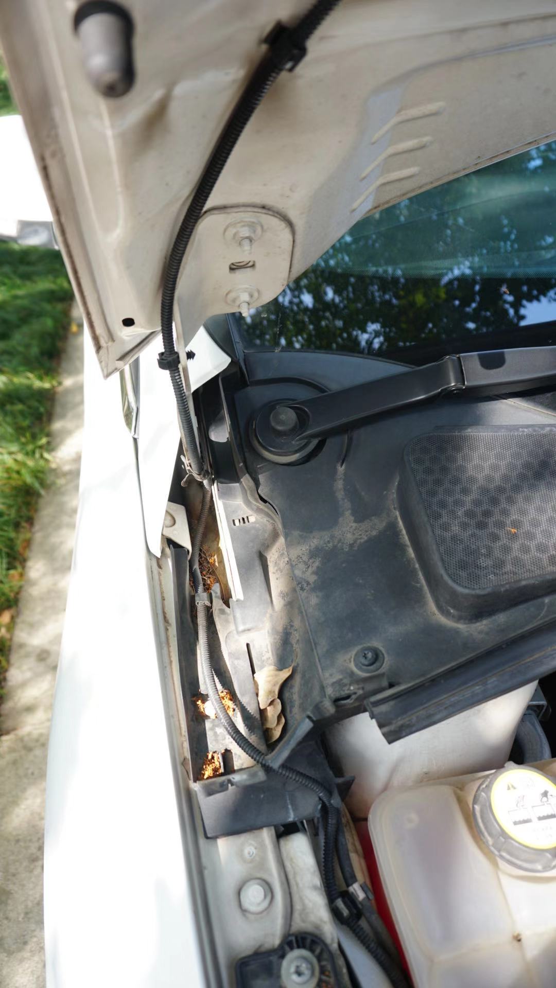 21款新一代福克斯跑长途真实感受,福克斯哪款开始变三缸