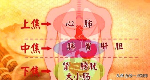 舌苔齿印很深一直不消,舌苔湿滑有齿痕胃胀