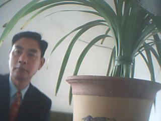 古诗词中的成语大全,诗词里的成语视频