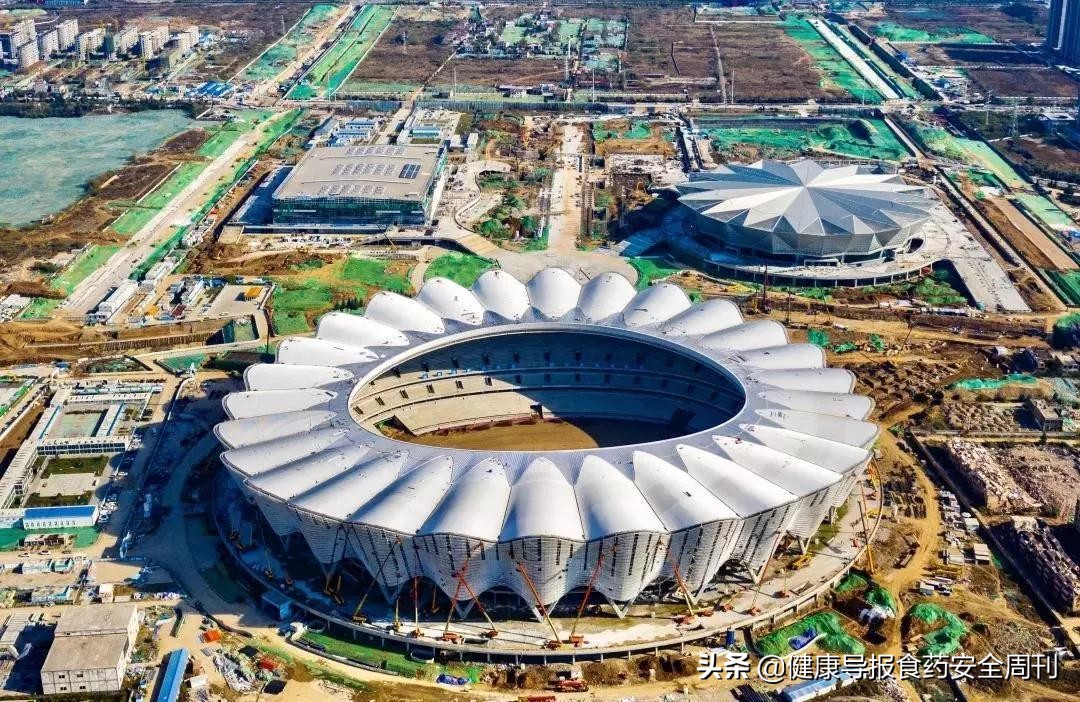 西安世园会石榴花,西安石榴花