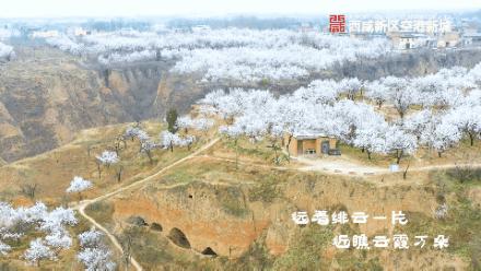 绌烘腐鑺辩敯濂界編,绌烘腐鑺辩敯鐪熺編