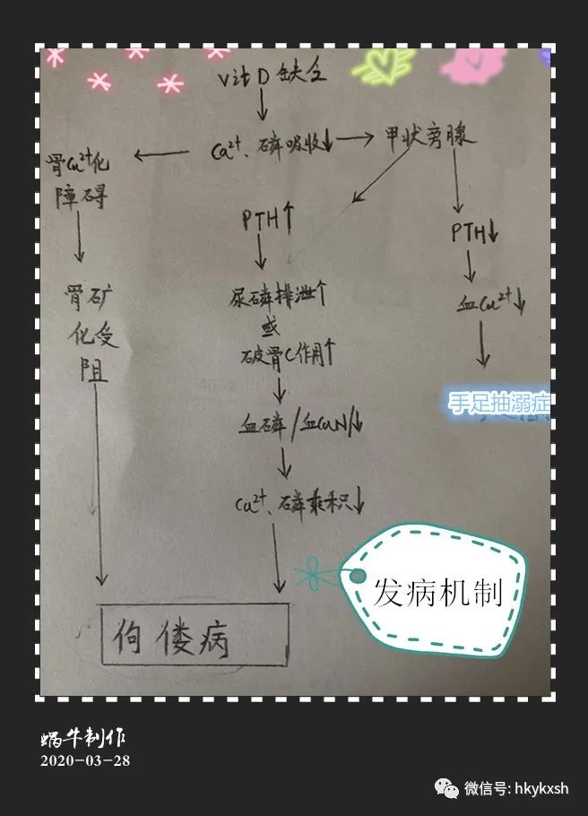 维生素d缺乏性佝偻病试题及答案,维生素d缺乏性佝偻病儿科护理学