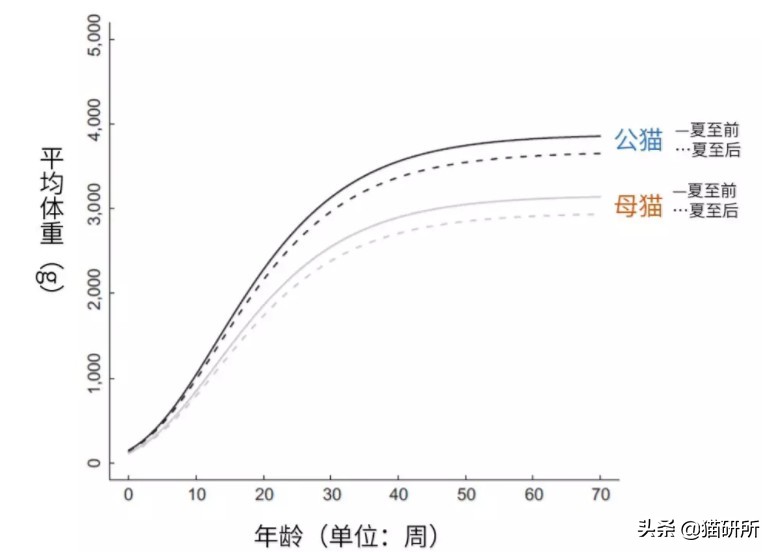 止泻药和猫砂,猫砂是止泻药吗