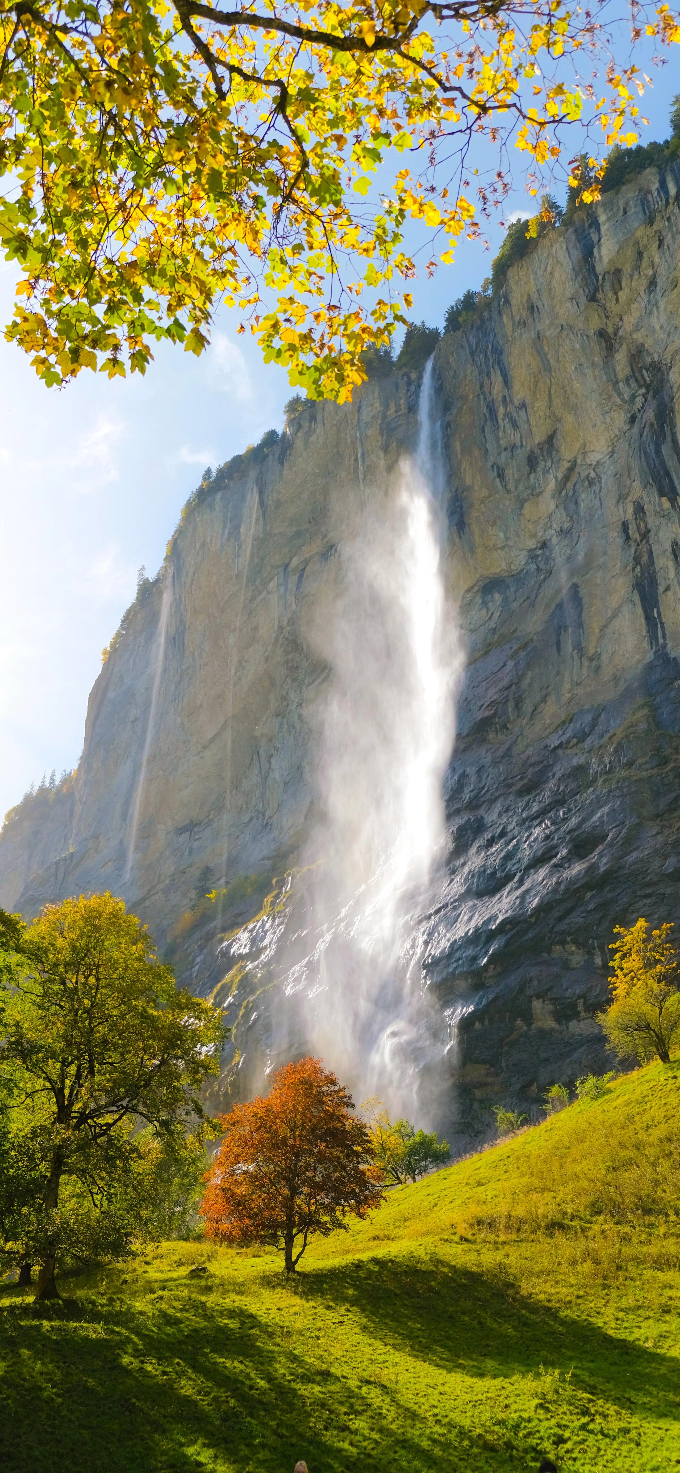 风景壁纸图片大全高清自然风景,100张自然风景全屏壁纸花