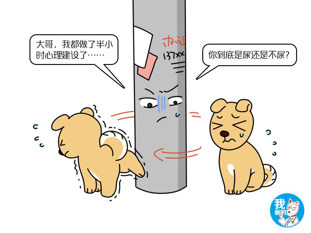 狗狗憋尿的危害,狗狗憋尿有什么表现