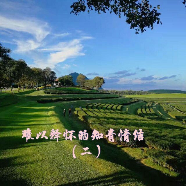 知青情结图片素材,60年代的知青情结