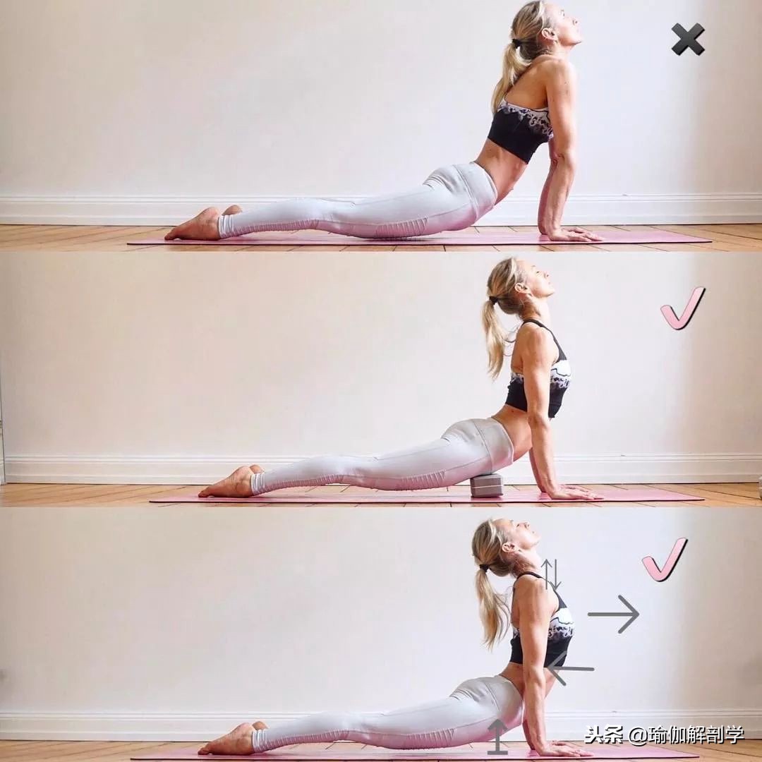 初学瑜伽必练8个基础瑜伽体式,瑜伽初学入门18个基础体式