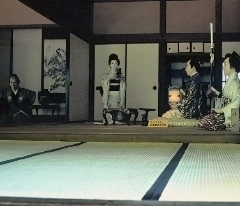 日本有过革命史吗,日本有过什么革命