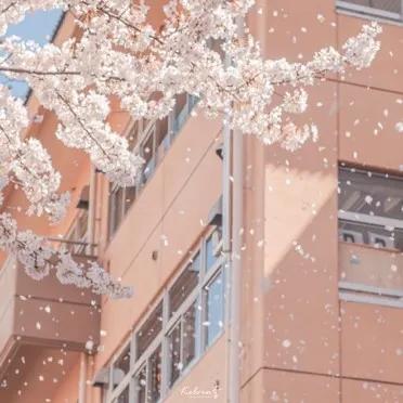 淘宝好看平价夏天店铺推荐,淘宝30多岁女装平价质量好的店铺