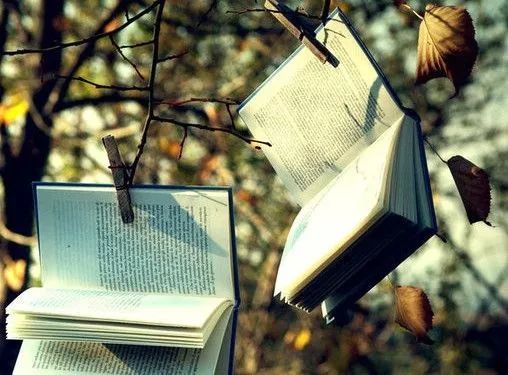 老书迷：攒了一堆书，从来没有读，怎么办？借出去！