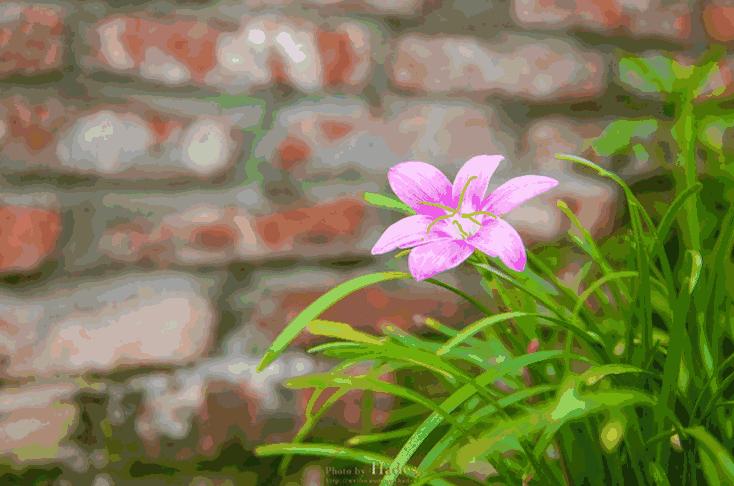 四川古蜀寻芳之幻梦朝天游玩攻略,都江堰古蜀寻芳