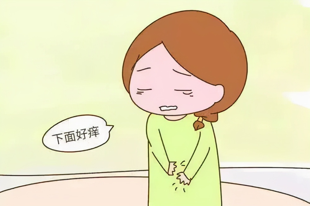 反复外阴瘙痒，你可能得了这个病