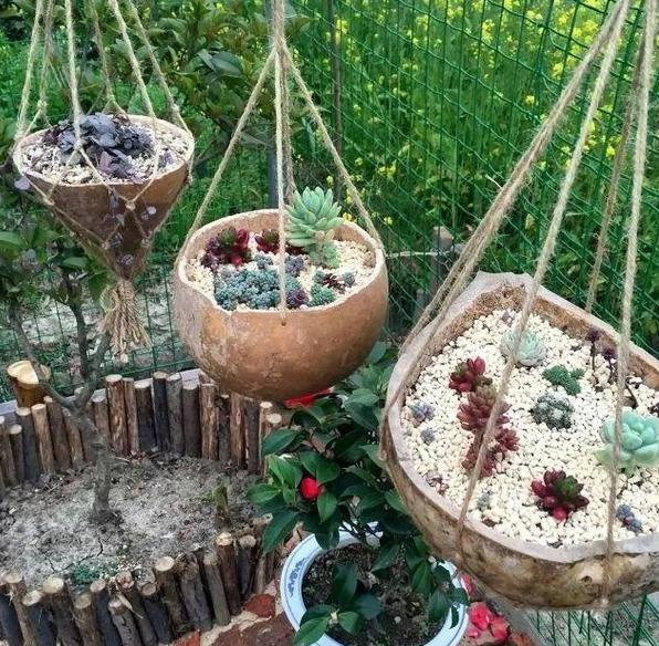 出差多肉怎么防雨,夏天要出门40天家里多肉该怎么办