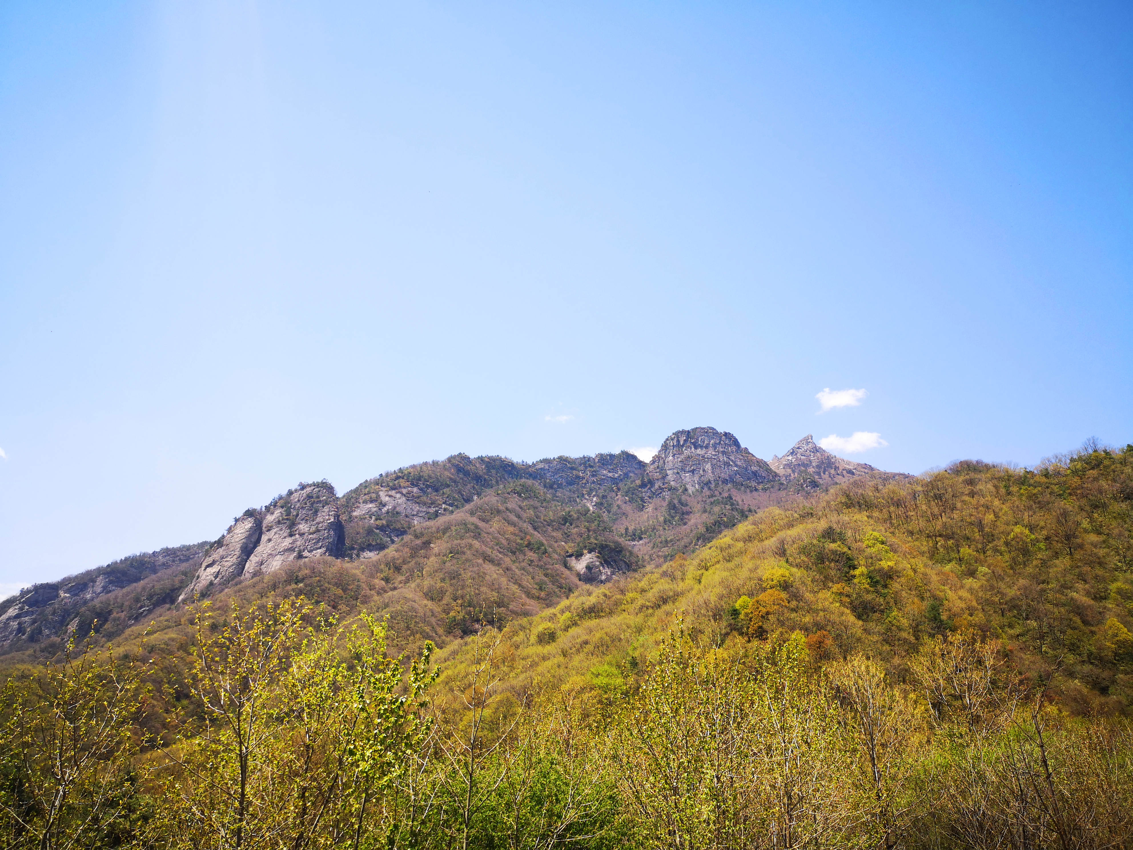 蜀道传奇在哪,蜀道传奇舞钢