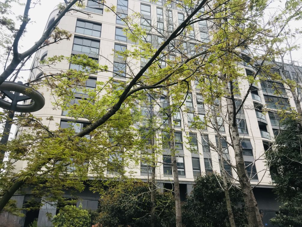 南京青奥村四期销售情况,南京青奥村房子值得买吗