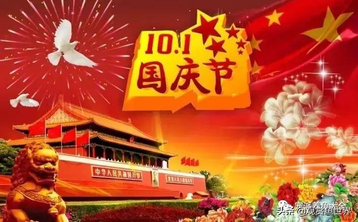 寓意好的观赏鱼名字大全,寓意吉祥观赏鱼锦鲤