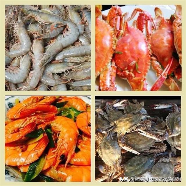 夏天去赶海抓螃蟹小龙虾,东戴河亿方客宾馆