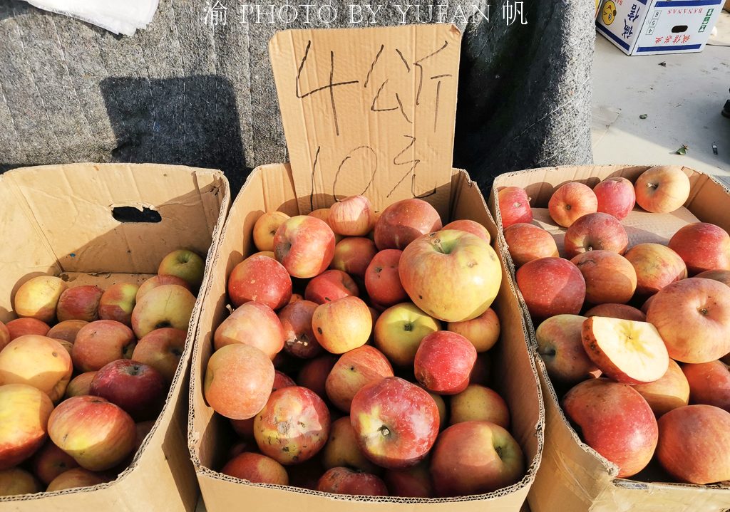 新巴扎新疆特产,新疆巴州博湖特产