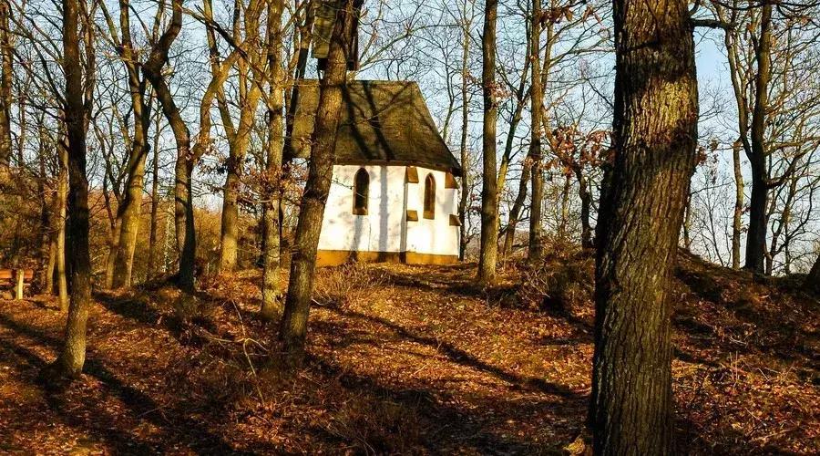 一匹马的故事,带你认识这个宇宙的真相!