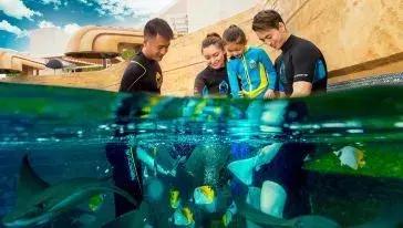 夏天玩水比较刺激的地方,玩水刺激好玩的地方推荐