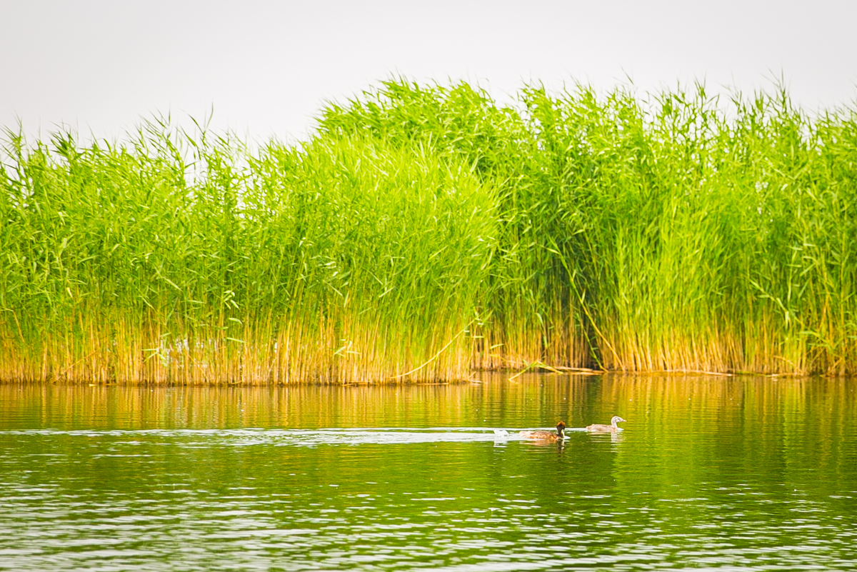 探秘内蒙古阴山,穿越巴彦淖尔探访塞外长城