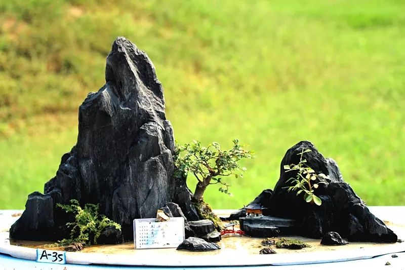 用根雕边角废料拼凑简单山水盆景,山水盆景制作基础方法入门