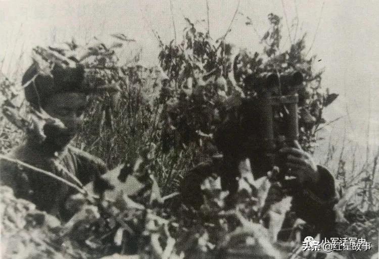 112师炮兵团火箭炮营,陆军38军112师炮兵团