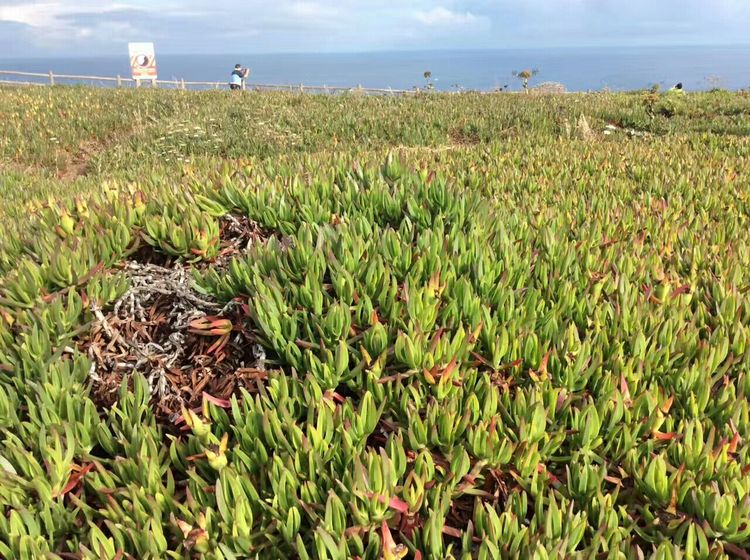葡萄牙旅游去哪里值得推荐,葡萄牙十大旅游胜地
