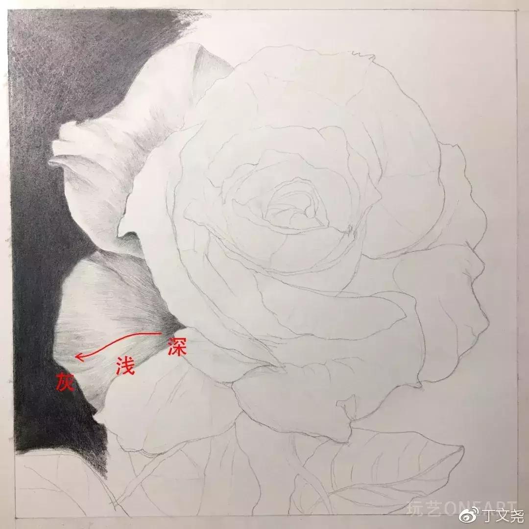 素描教程简单8-12岁玫瑰花,玫瑰素描怎么画