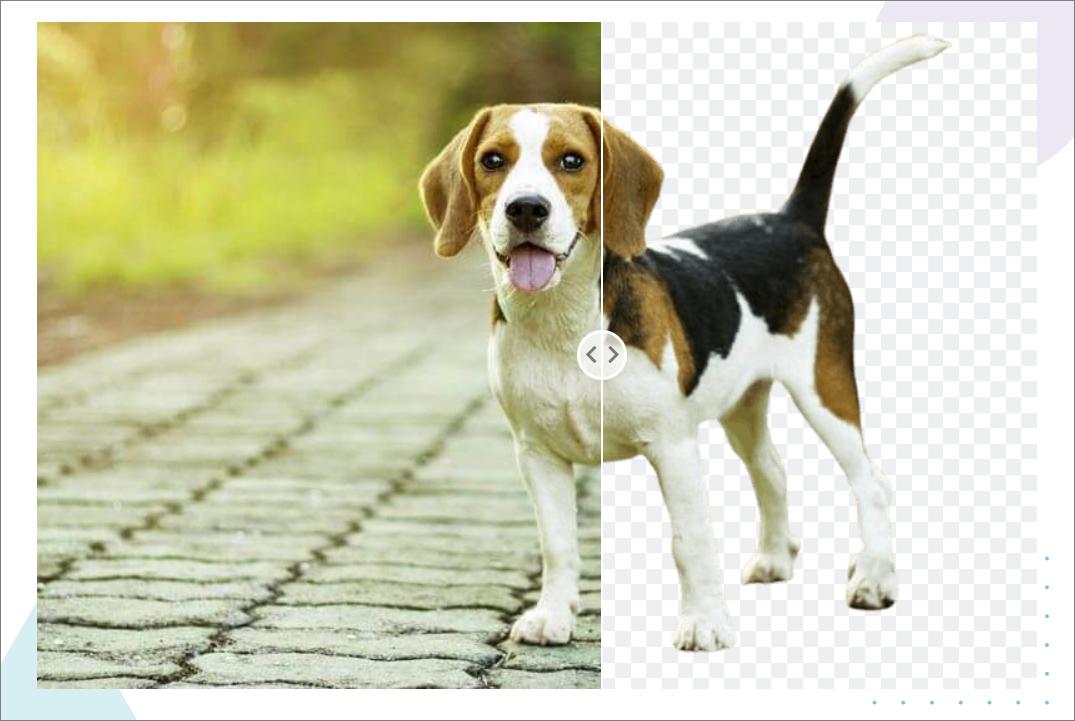 这5个鲜为人知的黑科技网站,让人无法拒绝的5个黑科技网站