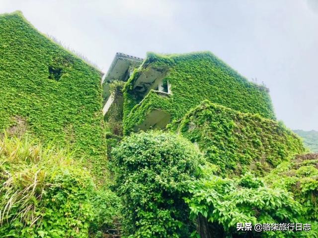 误入绿野仙踪秘境,探索舟山无人村