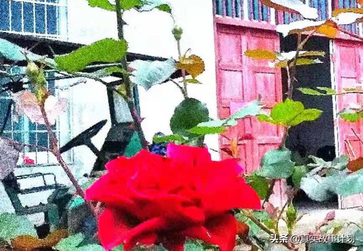 2020快要结束了,2020结束了