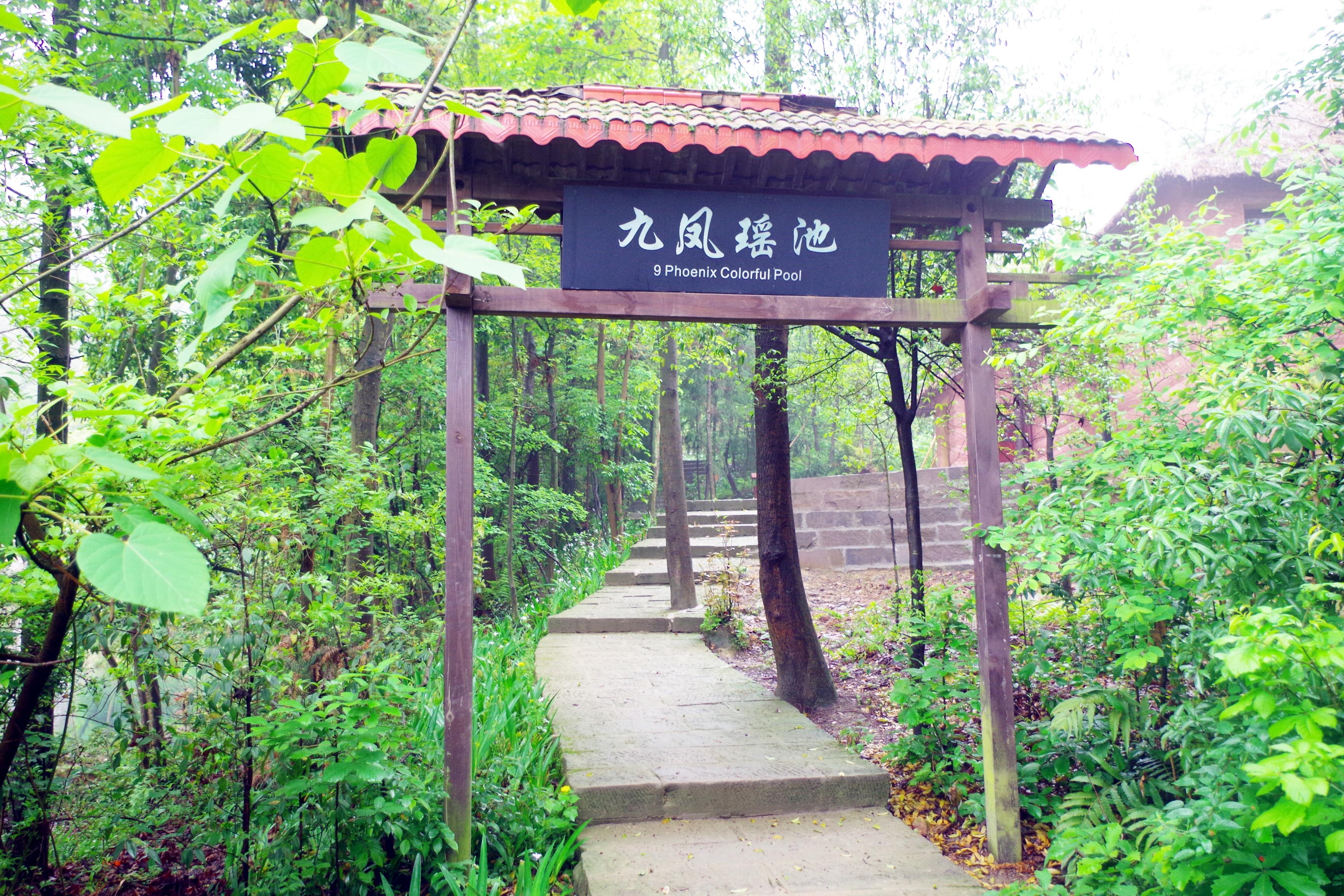 重庆小九寨九凤瑶池民宿,重庆温泉区九凤山民宿有哪些