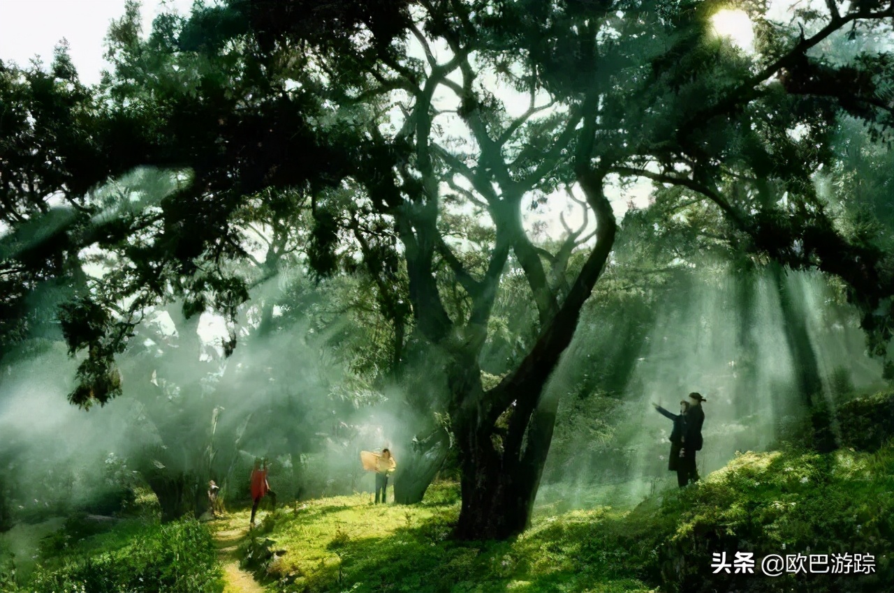 绍兴古道攻略一日游自由行,此生必去的三条国道