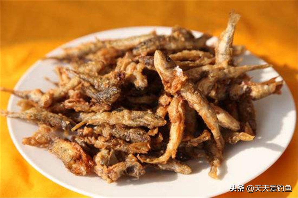 钓白条鱼绝密秘方,各种鱼都能钓世代相传的神奇钓法