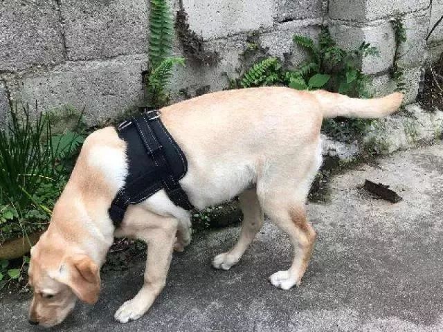 啧啧啧~断绝它的“性”福之路前你有仔细考虑吗？