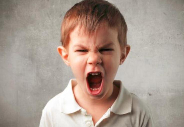 孩子性格暴躁怎么进行心理辅导,怎样让孩子改掉脾气暴躁的习惯