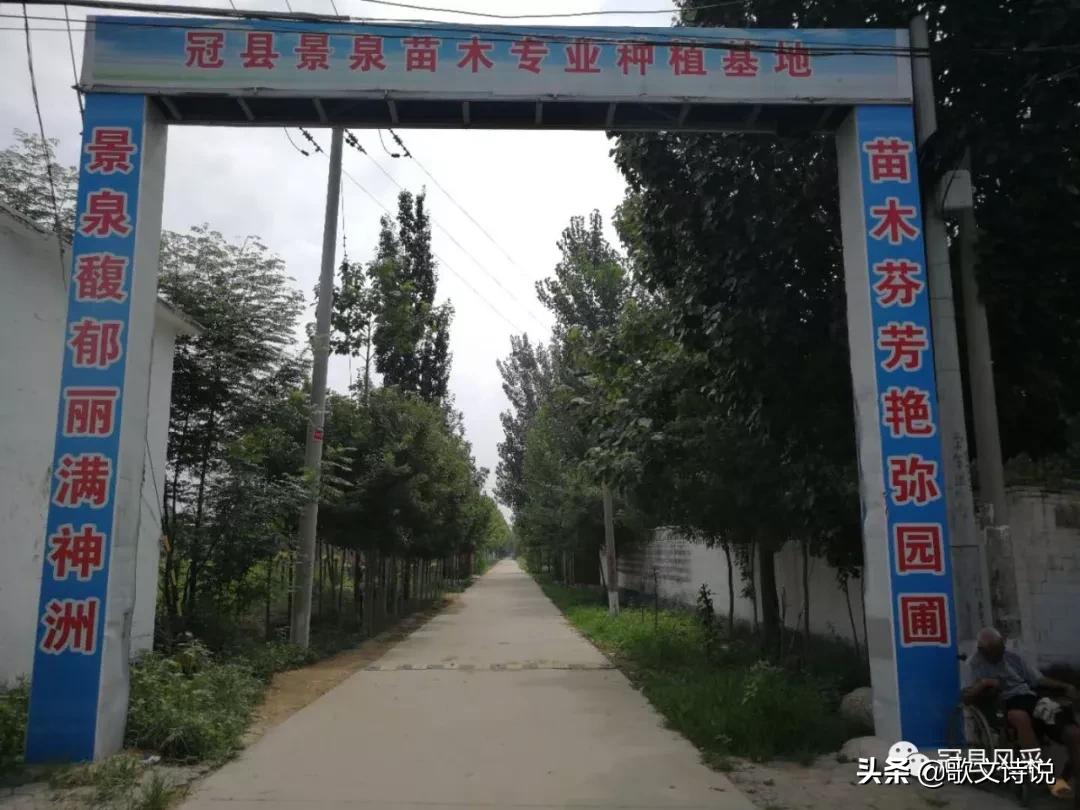 山东冠县精品苗木基地,冠县种植基地