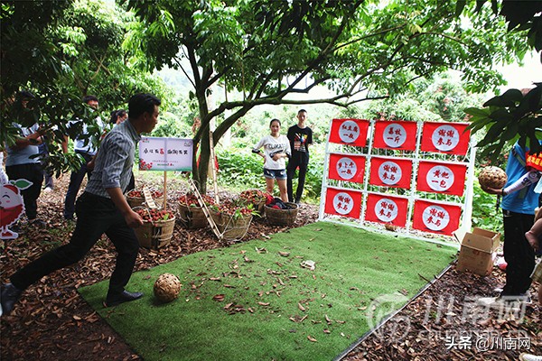又是一年荔枝红全诗,又是一年一度荔枝成熟的季节