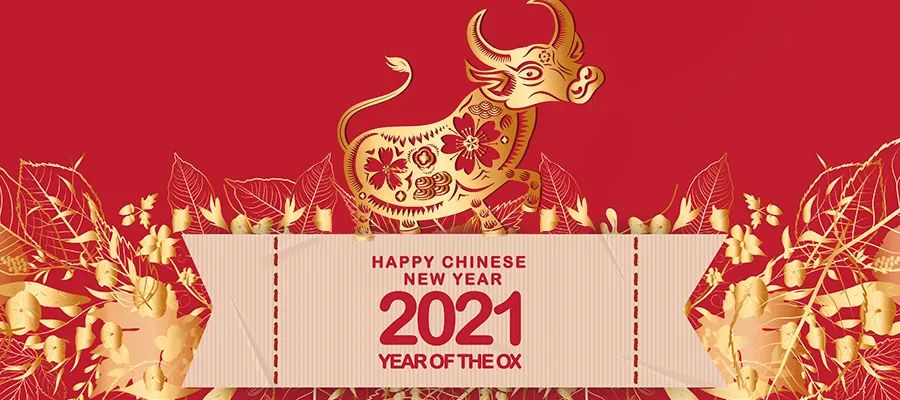 小狗是个什么样的动物,小狗是dog吗