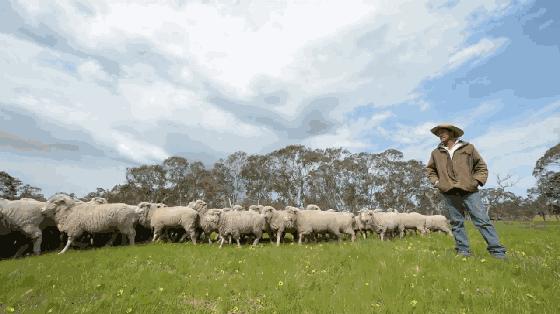 pu皮衣皱了怎么快速弄平,皮衣皱了正确熨烫方法