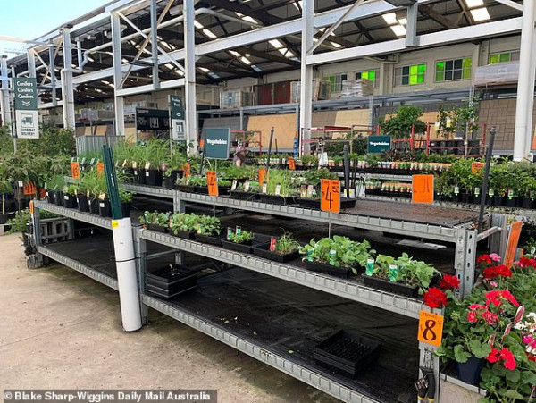 婢虫床瀹跺涵瓒呭競鍥よ揣,婢虫床瓒呭競鍥よ揣