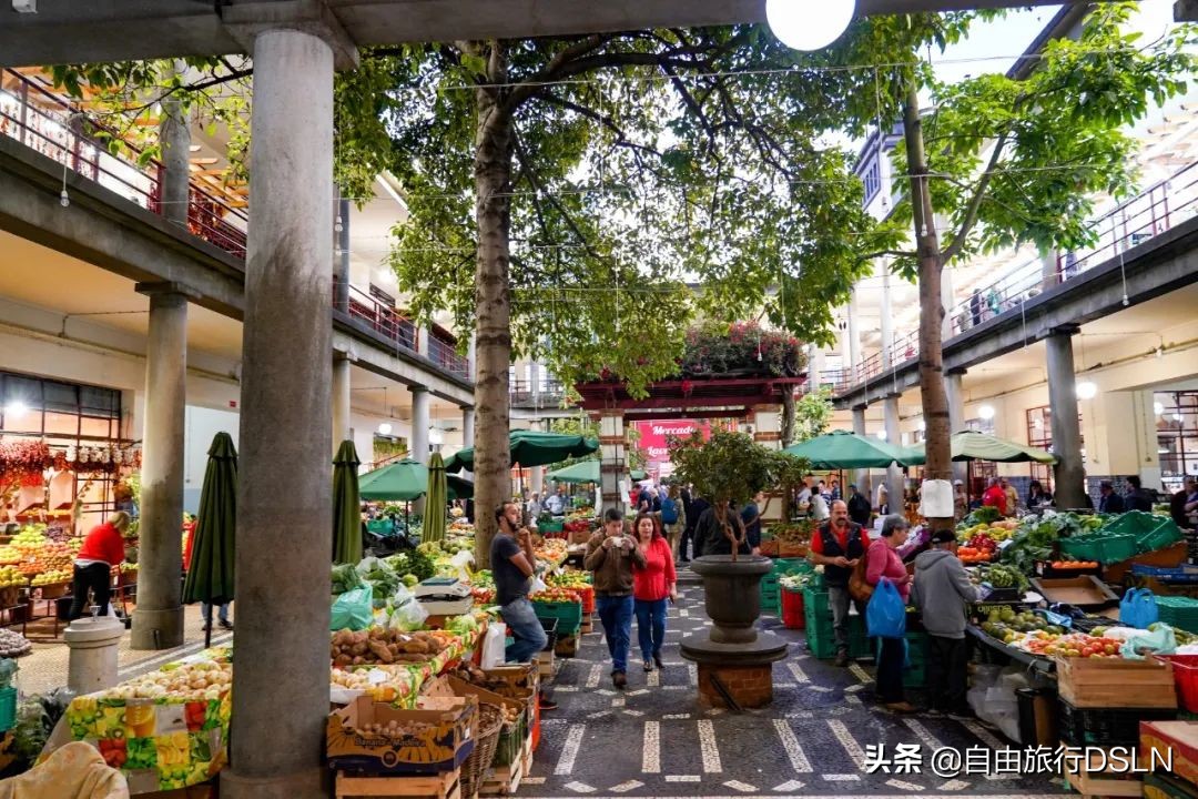 疫情期间去马德里旅游,疫情期间的澳门旅游