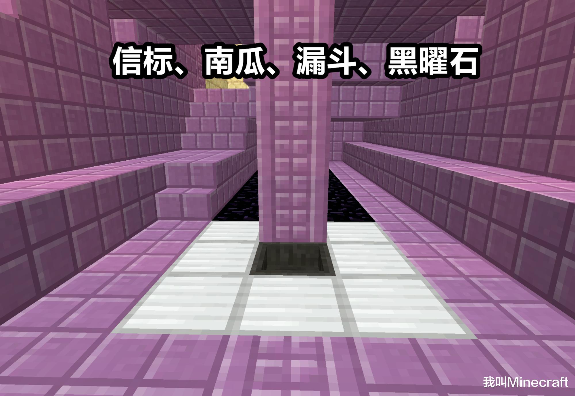 我的世界关于末地船的隐藏知识,我的世界末地船中的鞘翅怎么找