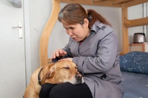 功勋军犬为拍戏被炸死片段,为了电影而被炸成碎片的军犬