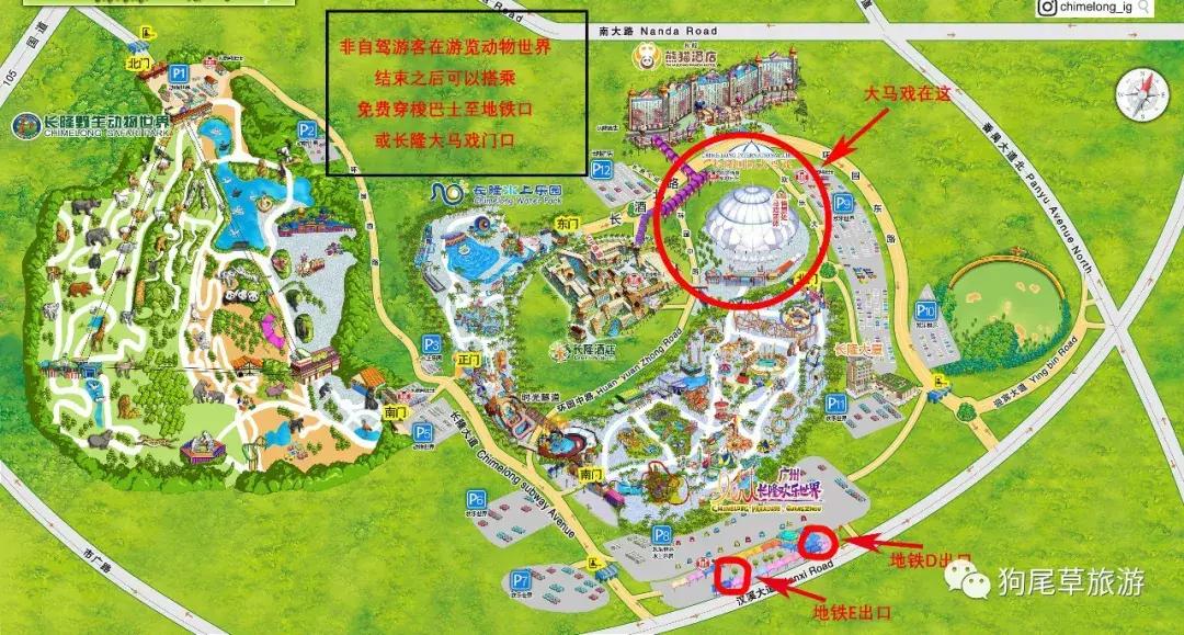 广州长隆旅游攻略野生动物园,广州长隆野生动物世界旅游攻略