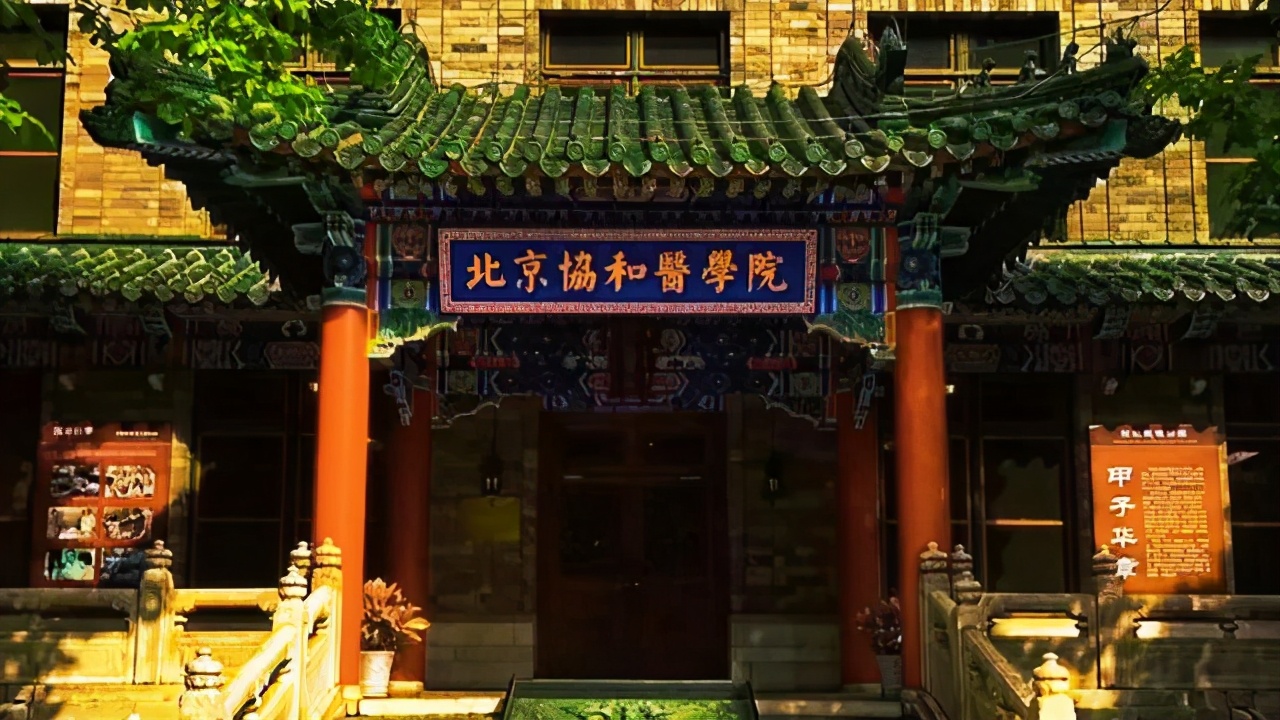河南学中医报考什么大学,河南学中医去哪里可以学