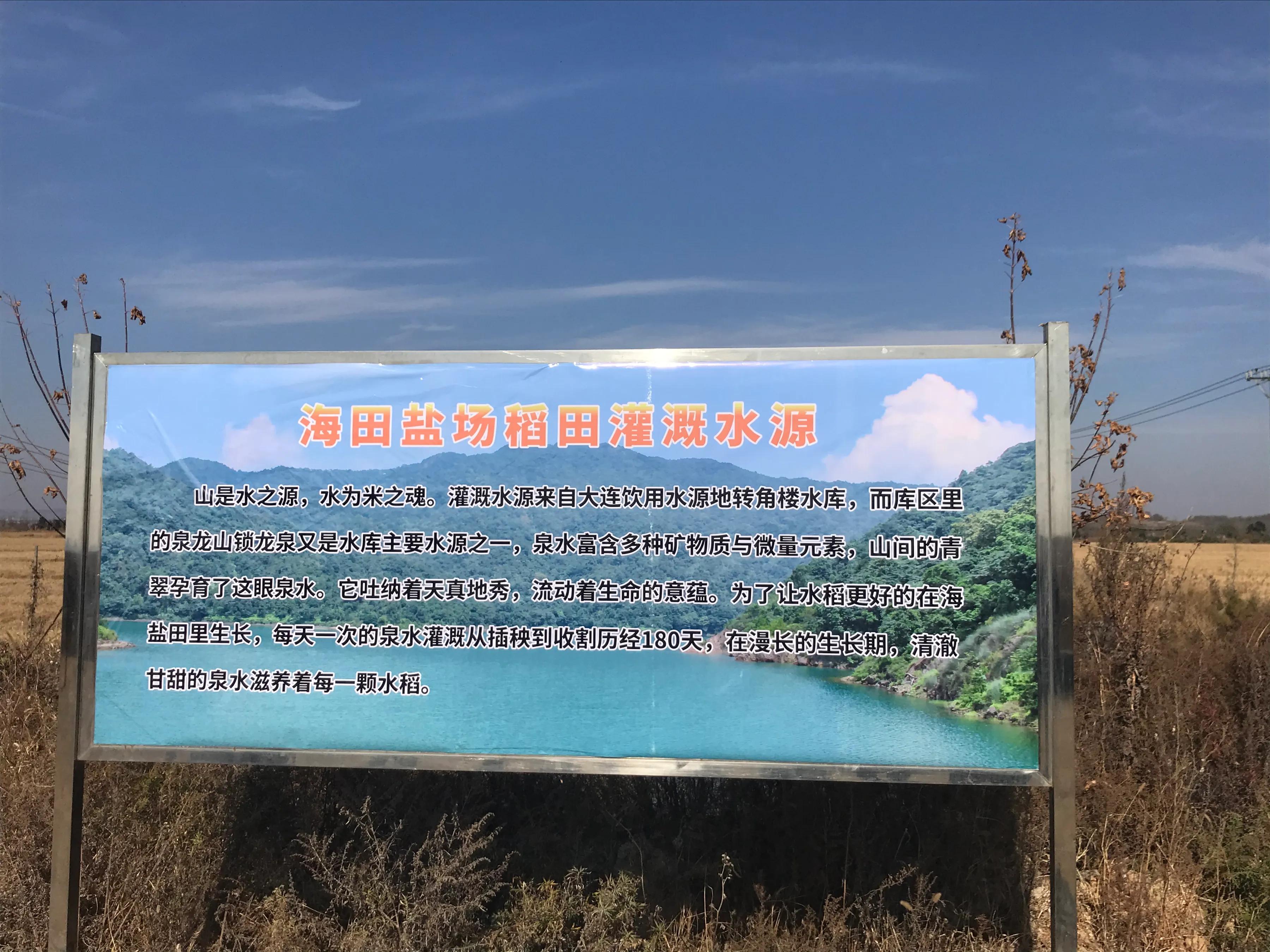 庄河盐碱地长出来的好大米,庄河市聚诚盐碱地大米