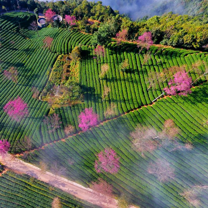 2020旅行时间表,2021年旅行时刻表出炉