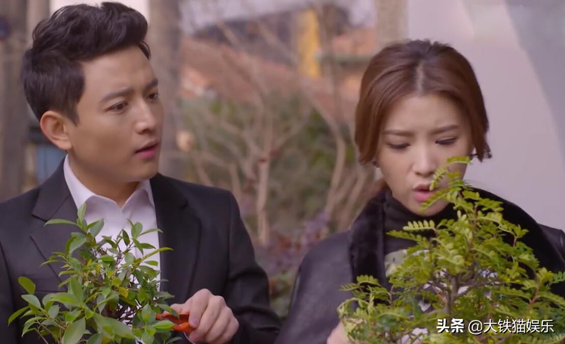 杉杉来了元丽抒结婚,杉杉来了第二部女主角